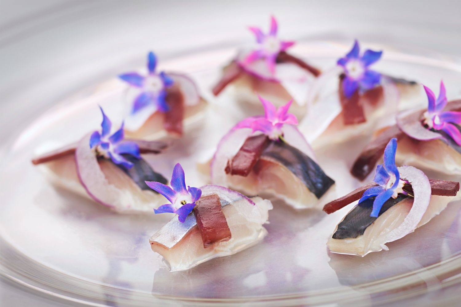 Maquereau, canard, une fleur de bourrache, comme un sashimi